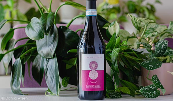 Barbera d'Alba Anna 2021 Pasquale Pelissero