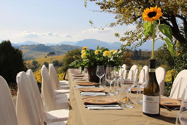 Degustazioni in azienda