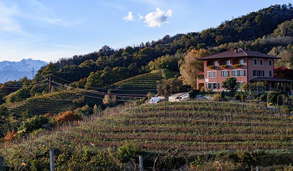 L'azienda Podere ai Valloni e la Vigna Cristiana