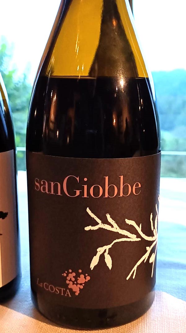Terre Lariane Rosso “San Giobbe” 2020