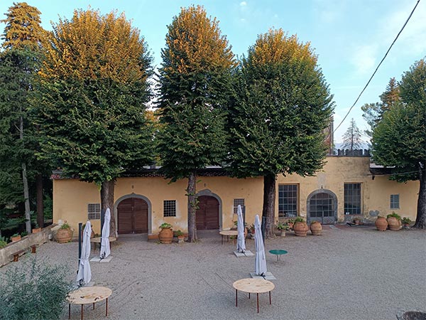 Tenuta di Capezzana