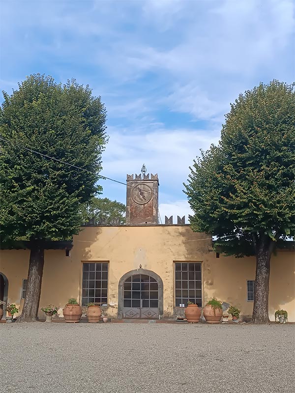 Tenuta di Capezzana