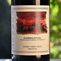 Barbera d'Alba 2021 Punset