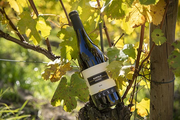 Barolo Ravera 2019 Elvio Cogno