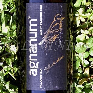 Campi Flegrei Falanghina 2022 Agnanum