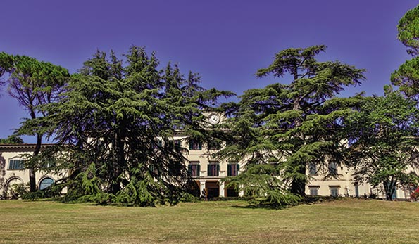 Fattoria di Grignano