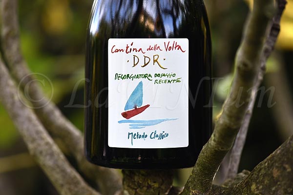Lambrusco di Sorbara Metodo Classico DDR 2015 Cantina della Volta