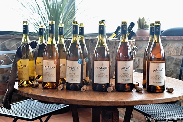 Vini azienda Pomario
