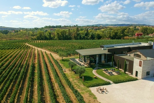 Vigneti Enio Ottaviani