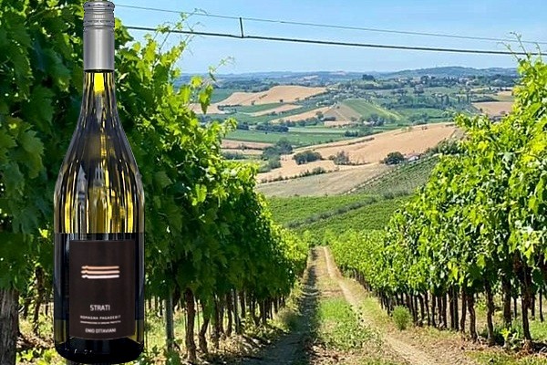 Romagna Pagadebit Enio Ottaviani