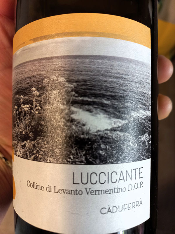 Colline di Levanto Vermentino Dop Luccicante 2022 Cà du Ferrà