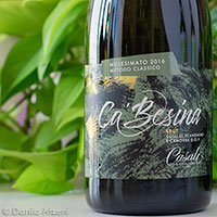 Colli di Scandiano e Canossa Metodo Classico Brut Millesimato Ca' Besina 2016 Casali Viticultori