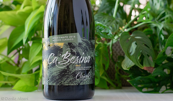 Colli di Scandiano e Canossa Metodo Classico Brut Millesimato Ca’ Besina 2016 Casali Viticultori