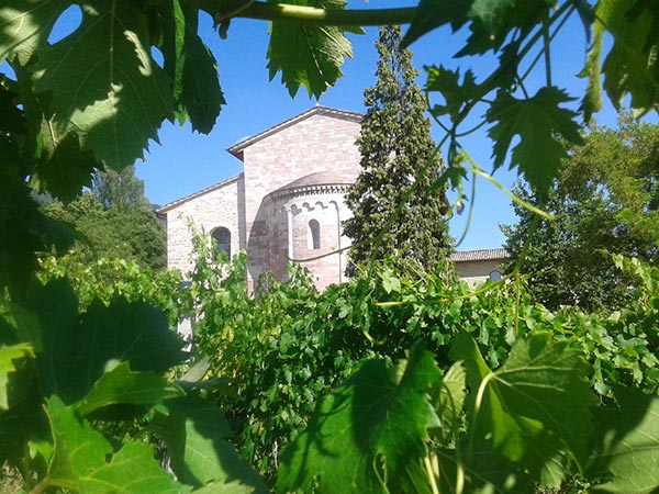 L'abside visto dalla vigna