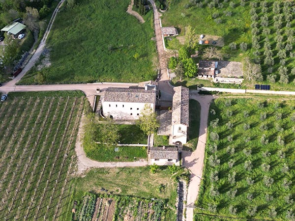 San Masseo e le vigne, foto Roberto Merlotti 