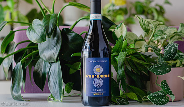 Langhe Nebbiolo Simone 2022 Pasquale Pelissero