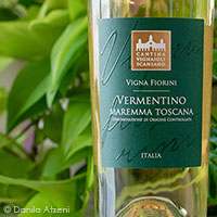 Maremma Toscana Vermentino Vigna Fiorini 2022 Vignaioli del Morellino di Scansano
