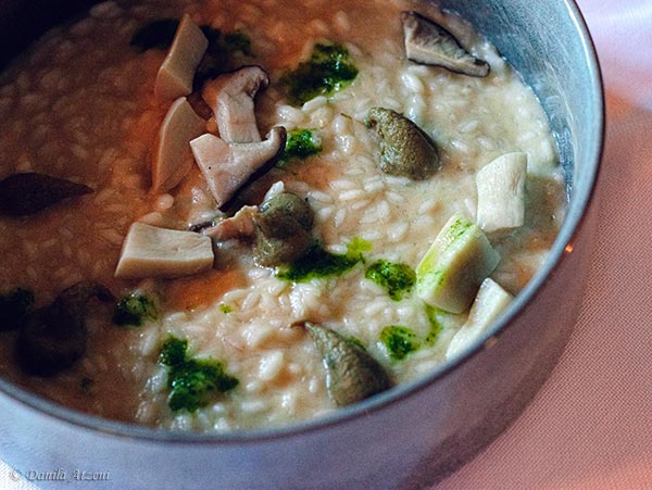 “Allucinogeno” – Riso Carnaroli - Barone DOP - Fungo Cardoncello, Robiola di Latte Vaccino e Salsa Verde Leggera