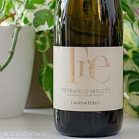 Trebbiano d'Abruzzo Tre 2022