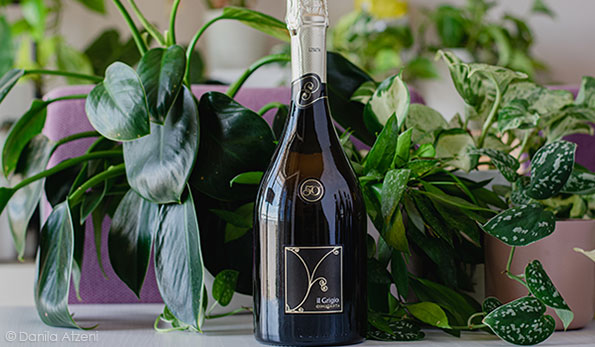 Il Grigio Spumante Brut Collavini