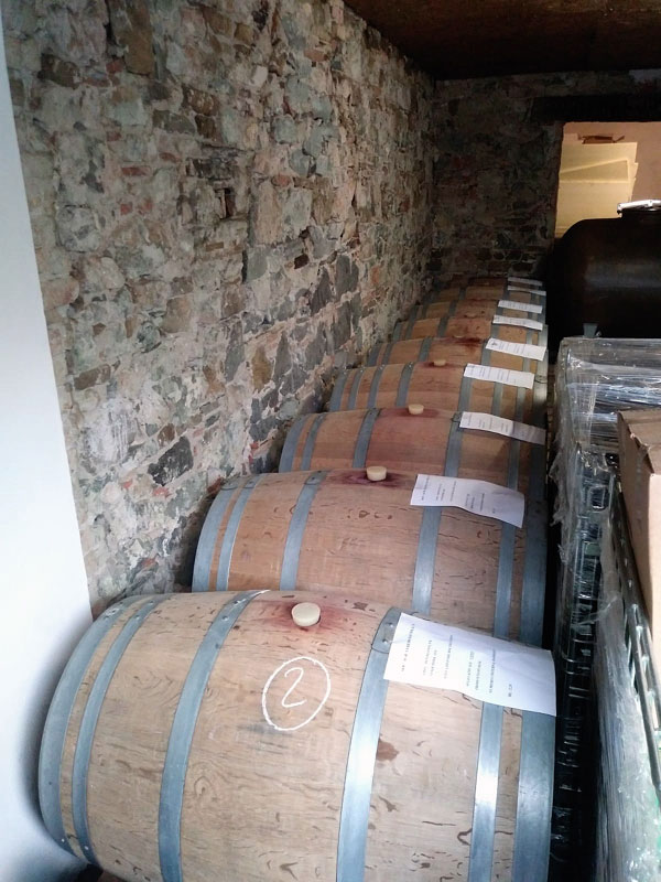Le botti nella cantina di Davide Feresin