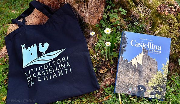 Copertina libro Castellina in Chianti