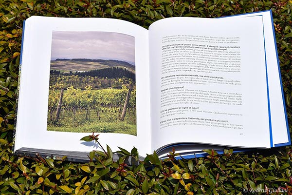 Libro Castellina in Chianti pagine interne