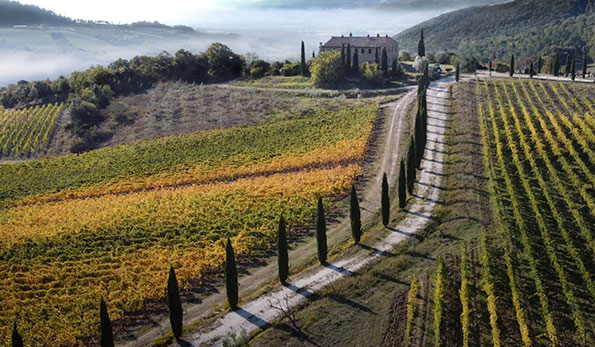 Vigneti Colline Albelle