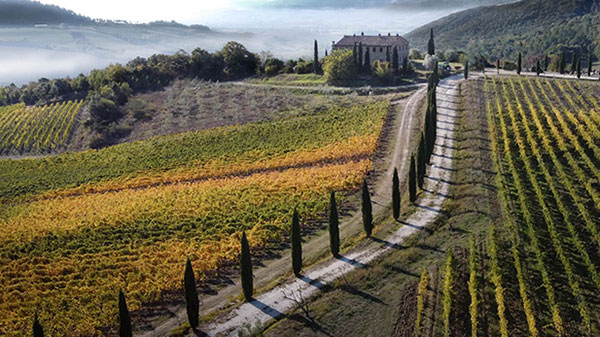 Vigneti Colline Albelle