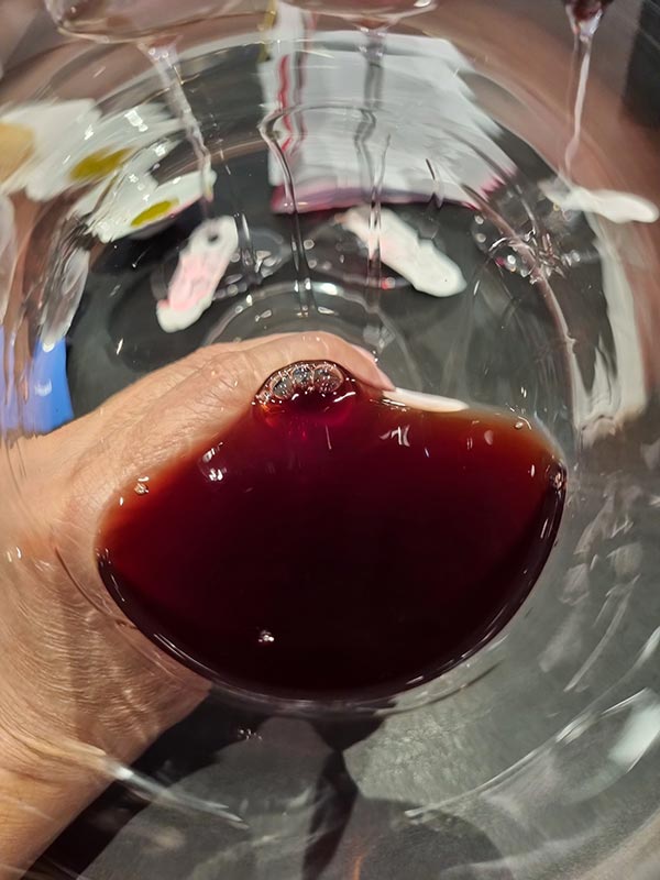 Colore Chianti Classico Riserva 1999 Nittardi