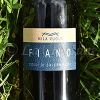 Fiano 2022 Mila Vuolo