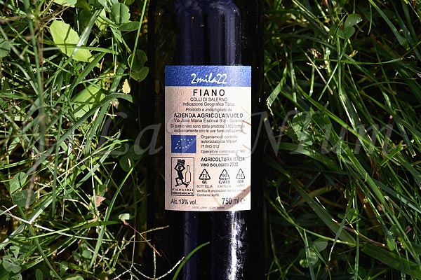 Fiano 2mila22 2022 Mila Vuolo