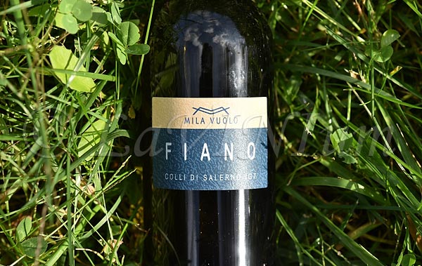 Fiano 2mila22 2022 Mila Vuolo