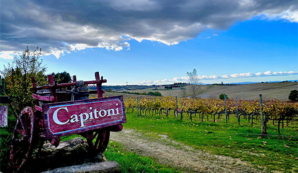 Insegna azienda Capitoni