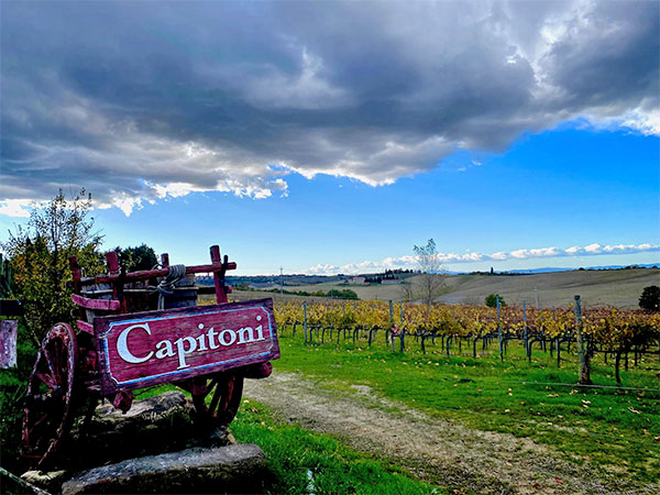 Insegna azienda Capitoni