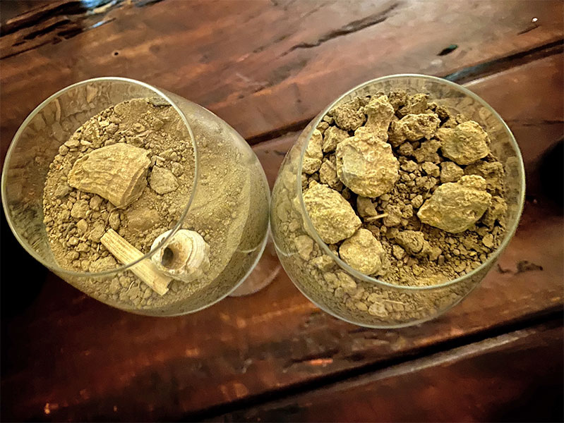 Terreni azienda Capitoni