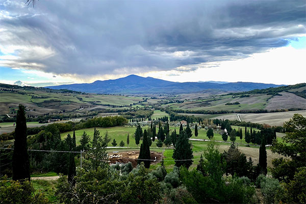 Vigneti azienda Capitoni