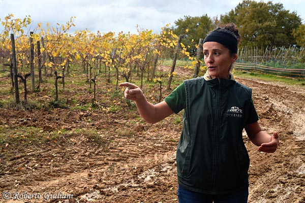 Stefania Di Fonzo ci racconta la storia di questi vigneti