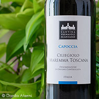 Maremma Toscana Ciliegiolo Capoccia 2022 Vignaioli del Morellino di Scansano