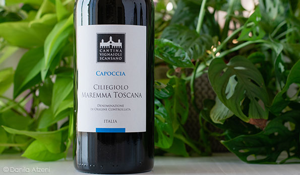 Maremma Toscana Ciliegiolo Capoccia 2022 Vignaioli del Morellino di Scansano