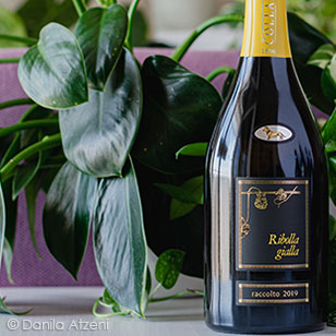 Ribolla Gialla Brut Millesimé 2019 Collavini