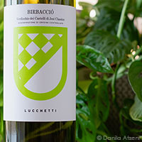 Verdicchio dei Castelli di Jesi Classico Birbacciò 2022 Lucchetti