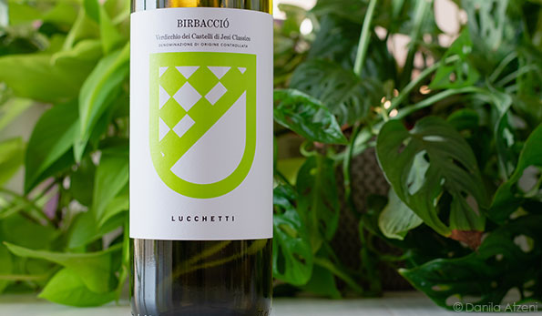 Verdicchio dei Castelli di Jesi Classico Birbacciò Lucchetti