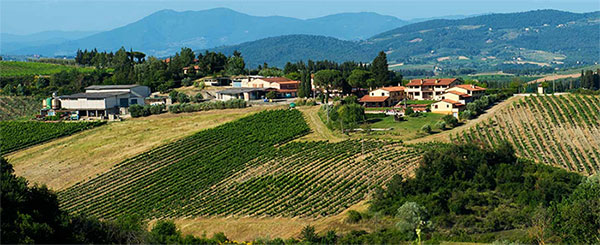 Tenuta di Morzano