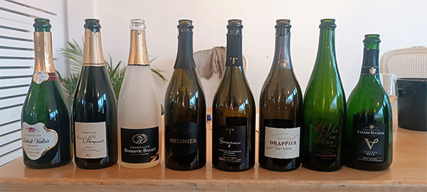 Fuoriprogramma, vini in assaggio