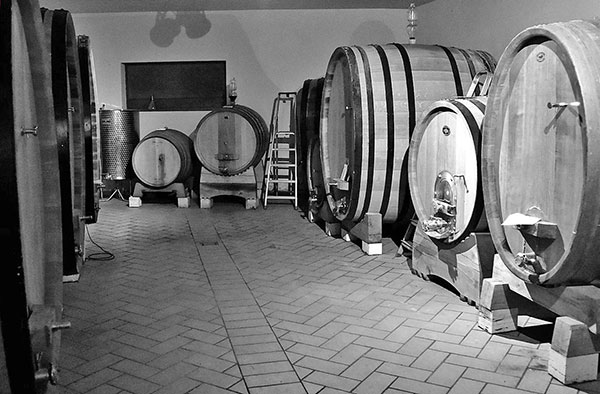 Cantina Marino Colleoni