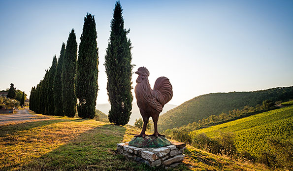 Querceto di Castellina