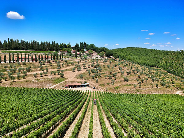 Querceto di Castellina