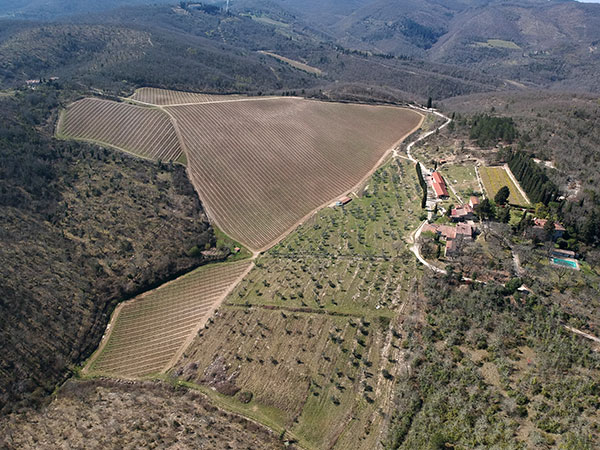 Querceto di Castellina