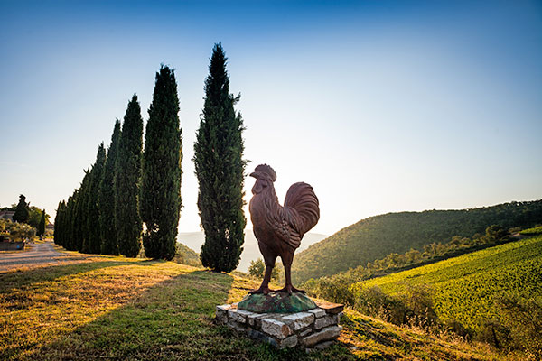 Querceto di Castellina